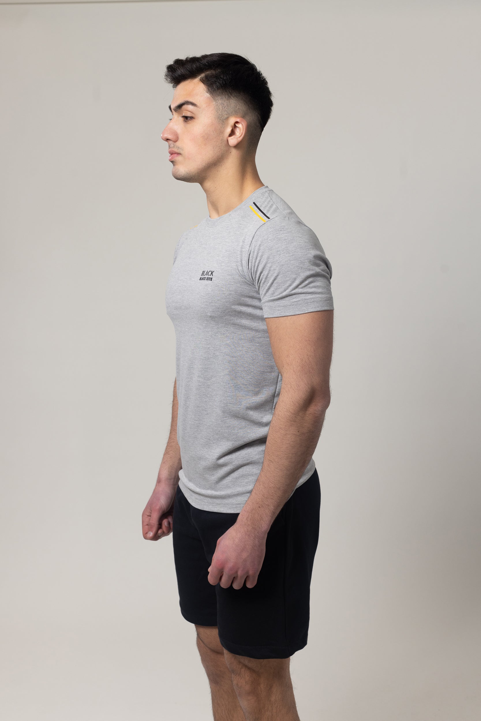 T-Shirt Cotton Lycra Round Neck  - Grey